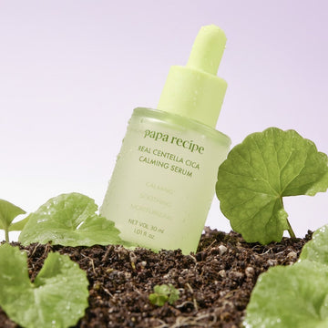 Assemble K - Play .Try .Glow Papa Recipe Real Centella Cica Calming Serum 30ml, a light green glass bottle with a dropper, surrounded by fresh green leaves and soil.