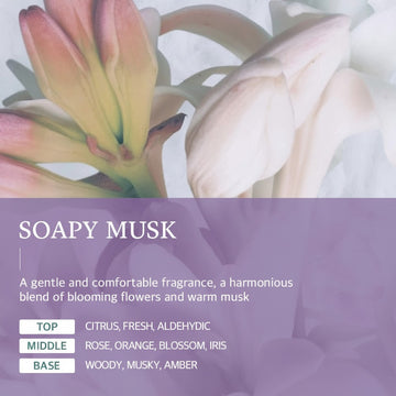 Assemble K - Play .Try .Glow Soapy Musk fragrance notes: Top - Citrus, Fresh, Aldehydic; Middle - Rose, Orange, Blossom, Iris; Base - Woody, Musky, Amber.