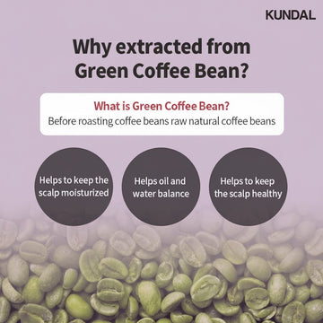 KUNDAL Scalp Care and Caffeine Shampoo in Baby Powder scent, 500ml bottle, featuring green coffee beans.